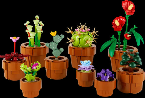 Mini plants 10329